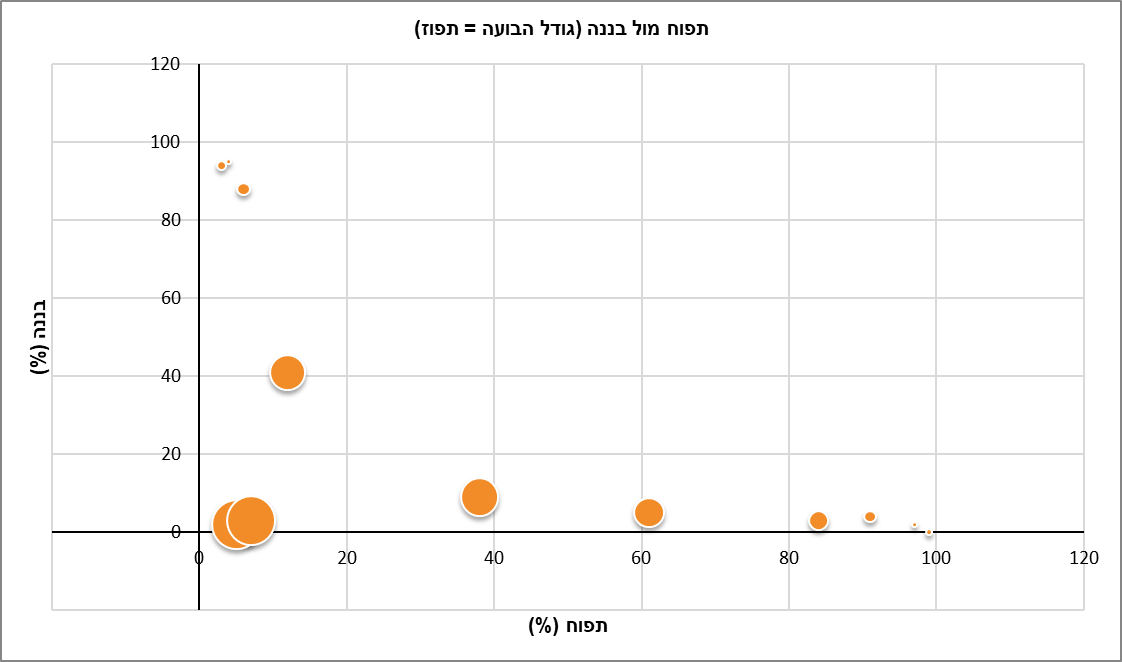 כך זה אמור להיראות
